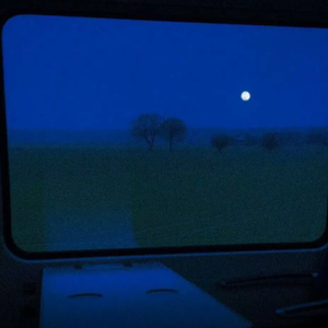 欧美群交狂欢派对p
